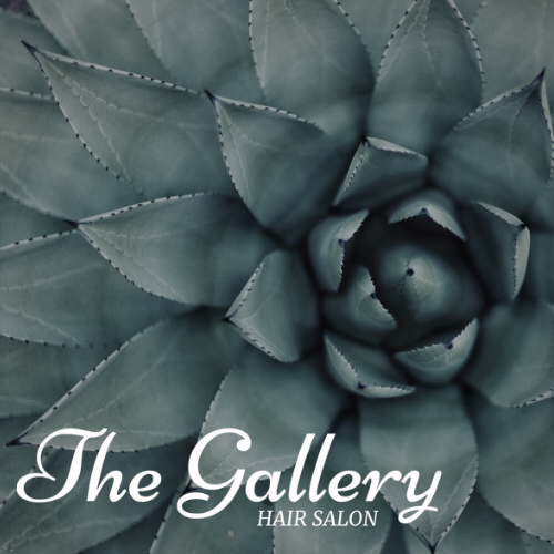 The Gallery Logo Photo